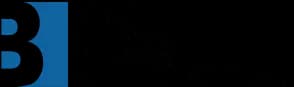 Big News Network logo